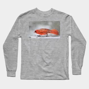 tippy-toe through the snow Long Sleeve T-Shirt